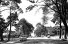 Avenida Arocena. Año 1962. (Foto 10050 FMH.CMDF.IMM.UY)