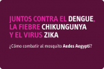 Afiche de campaña contra el mosquito Dengue