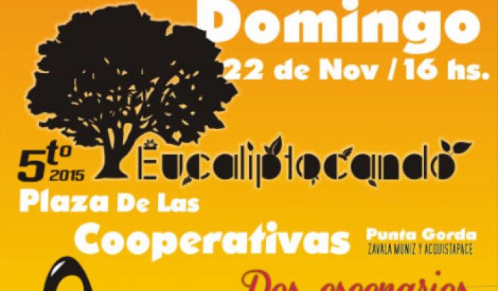 5ta. edición de Eucaliptocando