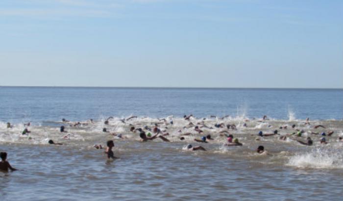 Nadadores compitiendo en el agua