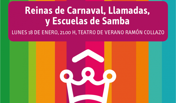 Afiche de la actividad